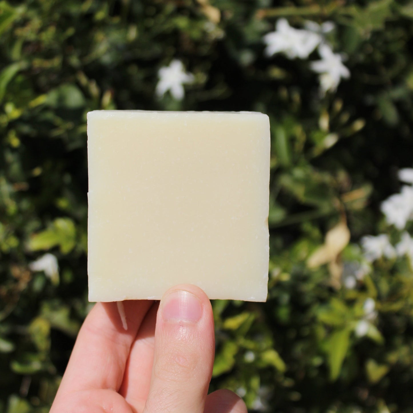 Organic Tallow Soap Bar